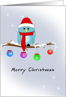 Christmas Card with Blue Bird, Red Hat, Scarf, Boots and Ornaments card