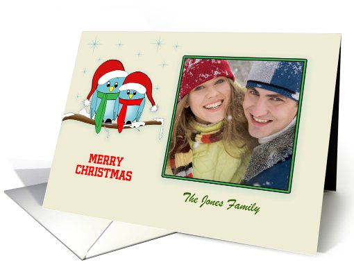 Christmas Blue Bird Couple on Snow Covered Tree Branch Photo card