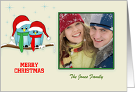 Christmas Blue Bird Couple on Snow Covered Tree Branch Photo Card