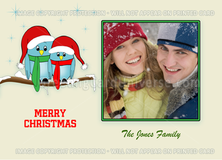 Christmas Blue Bird Couple on Snow Covered Tree Branch Photo Card
