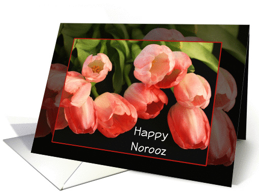 Happy Norooz-Persian New Year-Greeting Card-Tulips-Flowers card