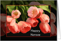 Happy Norooz-Persian...