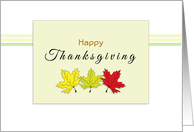 Thanksgiving Card with Three Autumn-Fall-Leaves card