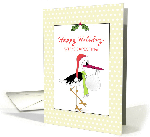 We're Expecting Christmas Greeting Card-Pregnant-New Baby-Stork card