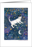 Special Day: Cat & crescent moon starry night sky card