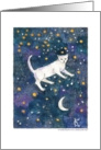 Spiritual: Cat & crescent moon starry night sky card