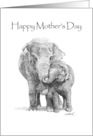Happy Mother’s Day, Mother & Baby Elephant card