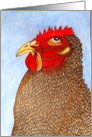 Rodney Rooster original art card