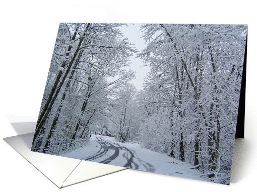 Snowy Path of Christmas card (304058)