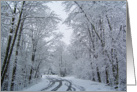 Snowy Path of Christmas card