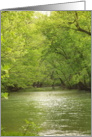 Calfkiller River card