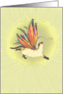 Fairy Cat All Occasion Yellow Card
