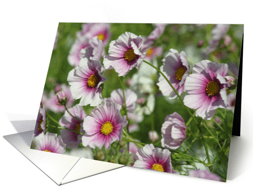 Spring flowers- Lyrical card (175362)