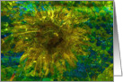 Sunflower Abstract card
