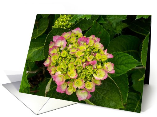 flower bouquet card (502448)