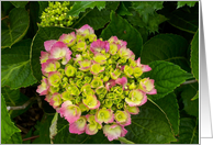 flower bouquet card