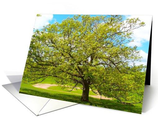 Tree Glory card (504790)
