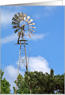Old Windmills of New York card
