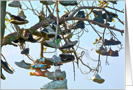 Shoe Tree Of Wishes card