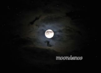 Moondance