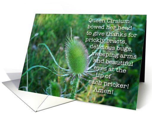 Prickly Queens card (525575)