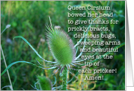 Prickly Queens card