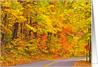 Oatka Trail Autumn card