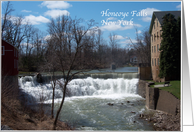 Honeoye Falls,New...