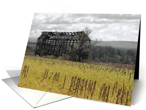 Barns of New York / Corn Cribs card (611143)