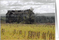 Barns of New York / Corn Cribs card