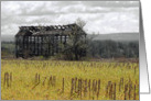 Barns of New York / Corn Cribs card