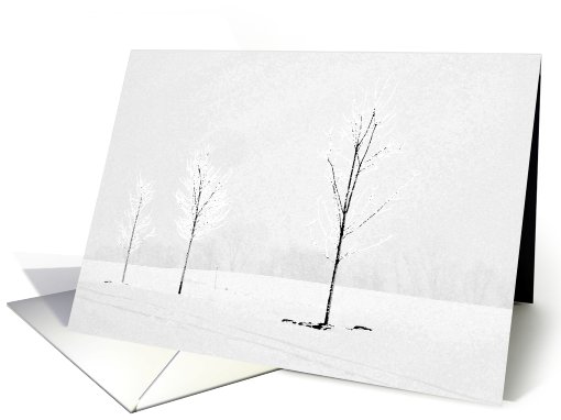 March Bare Trees in Snow covered landscape. card (792928)