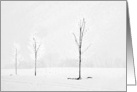 March Bare Trees in Snow covered landscape. card