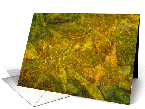 Crystal Creek's Fish card (920464)