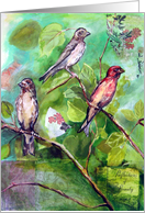 trio card