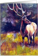 Elk card