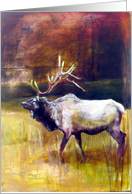 Elk card