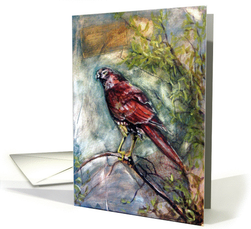 red hawk card (267321)