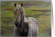 Horse at Fence Painting, Road To Mana card