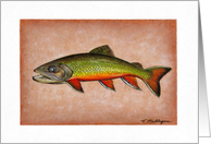 Fishing - Brook Trout card