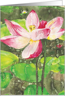 Water Lily card