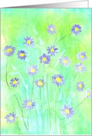 Daisies card