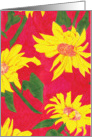 Sunflowers card