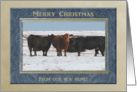 Cows in the Snow, Merry Christmas From Our New Home card