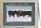 Cows in the Snow, Season’s Greetings From Our New Home card