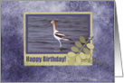 Avocet in Frame with Leaves, Happy Birthday card