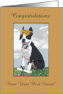 Boston Terrier Wearing Cap, Graduation to Son, 2022, Custom Text card
