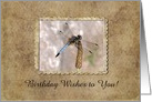 Dragonfly, Birthday, Custom Text card