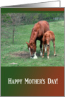 Young and Old Horse, Mother’s Day Card