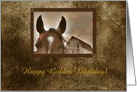 Face to Face. Horse, Golden Birthday card